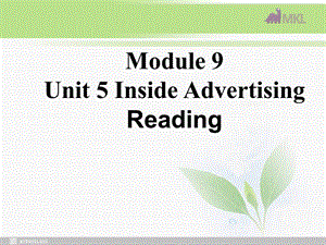 英语：Unit 5 Reading课件1 新人教版选修10.ppt