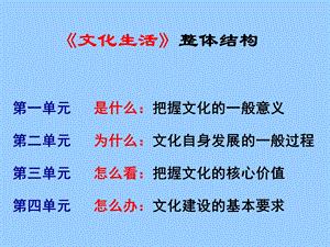 高中政治 1.1体味文化 课件.ppt