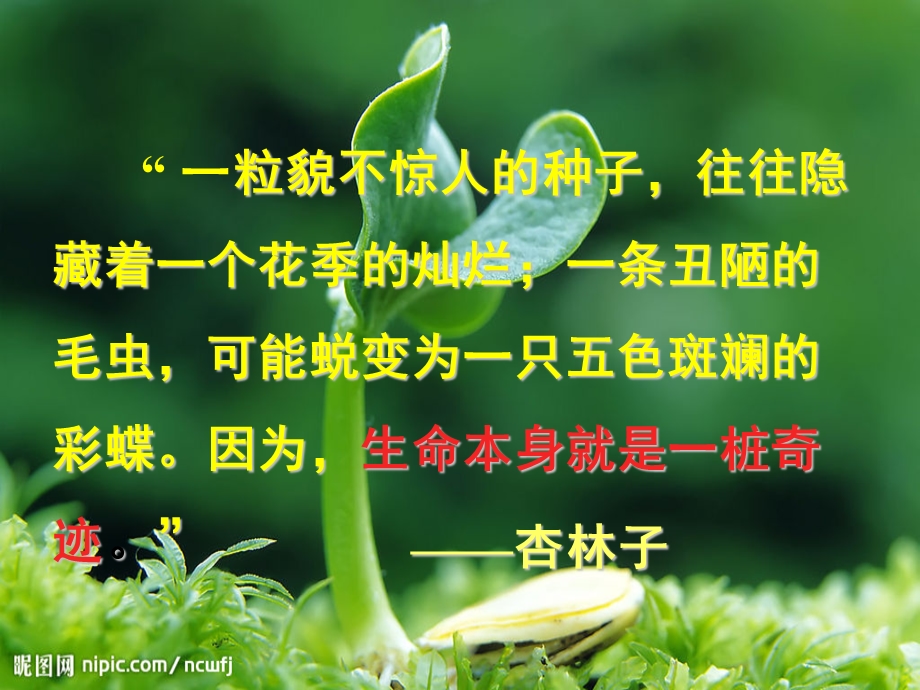 生命生命课件 (2).ppt_第1页