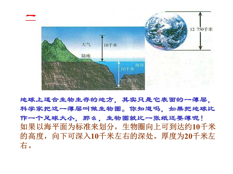 生物圈是最大的生态系统(课件).ppt_第3页