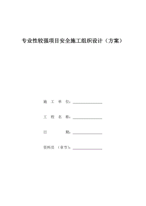 专业性较强项目安全施工组织设计(方案) .doc