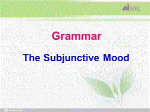 英语：Unit 4 Learning efficientlyGrammar课件 新人教选修10.ppt