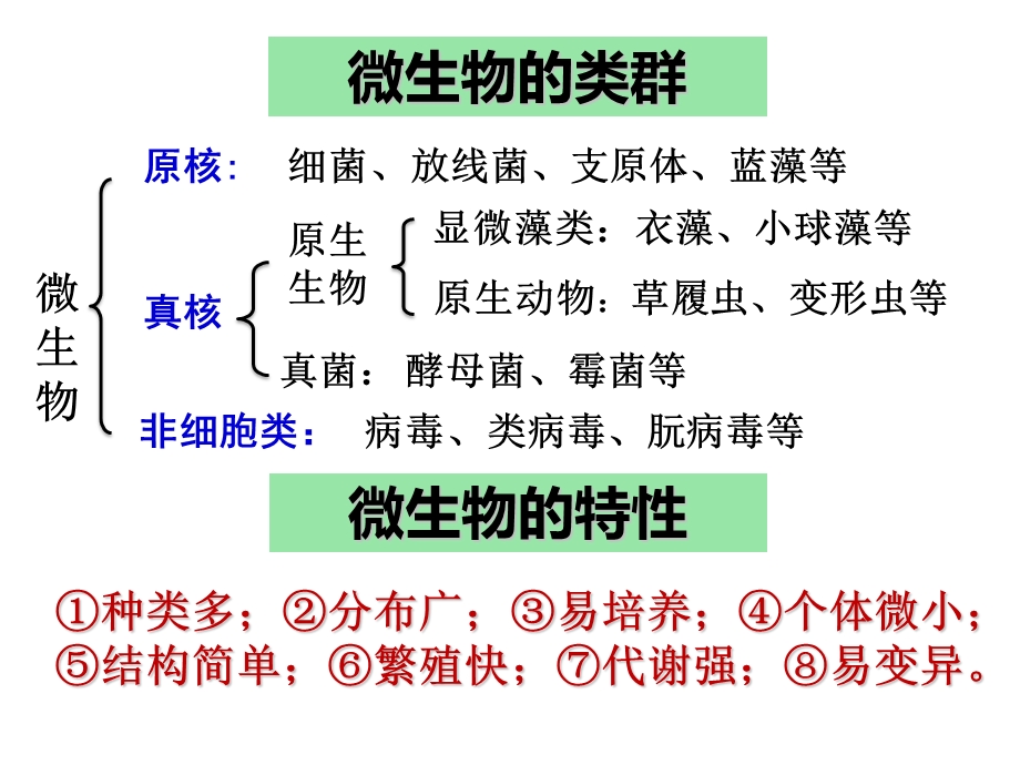 微生物的实验室培养(公开课).pptx_第2页