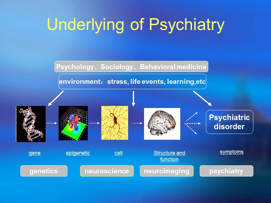 精神状况检查MentalStatusExamination精神问诊.ppt_第3页