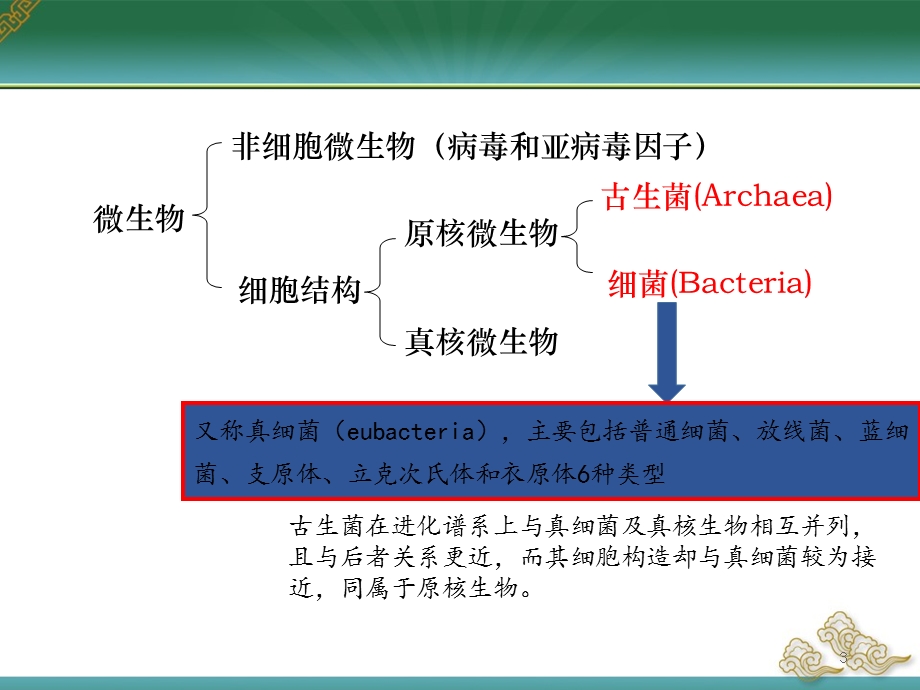 微生物课件原核PPT课件.pptx_第3页