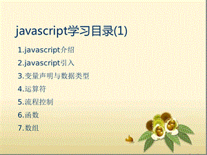 javascript学习介绍课件.ppt