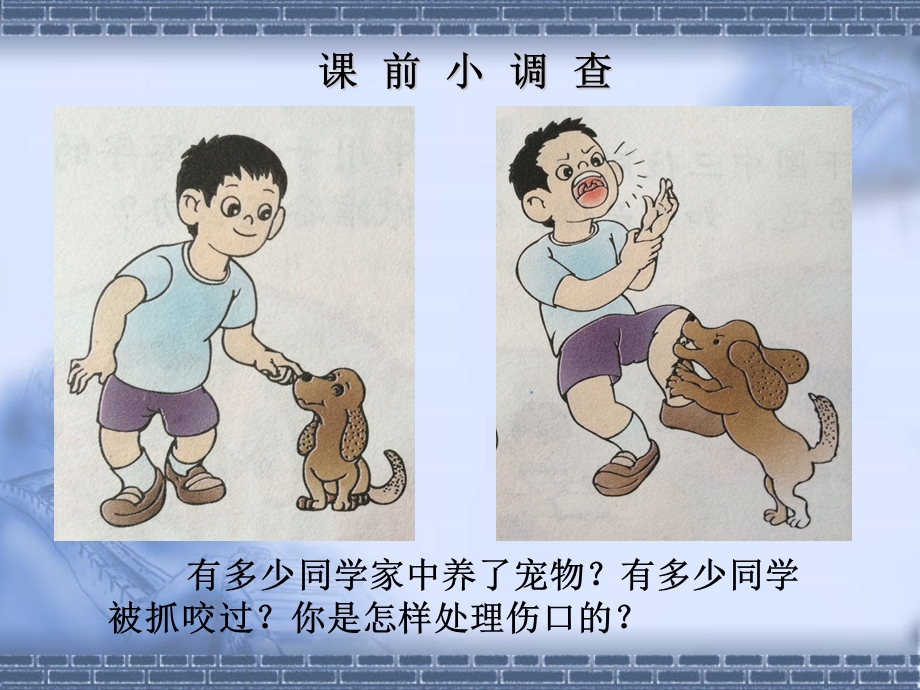 幼儿园安全PPT课件被猫狗抓咬后怎么办.ppt_第2页