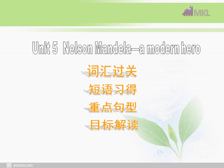 高一英语优质课件：Unit5 Nelson Mandelaa modern hero 单元复习新人教版必修1.ppt_第1页