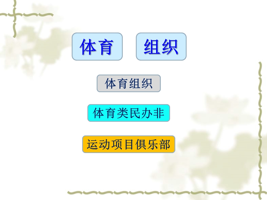 值得实践的运动项目运营模式.ppt_第2页