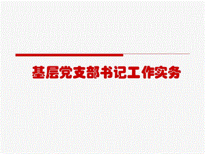 基层党支部书记工作实务.ppt