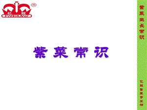 市场部紫菜生长常识.ppt