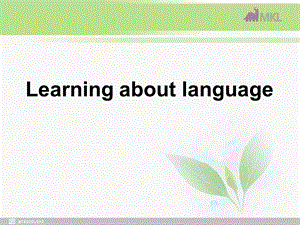 高中英语 Unit2Sailing the oceansLearning about language课件 新人教选修9.ppt