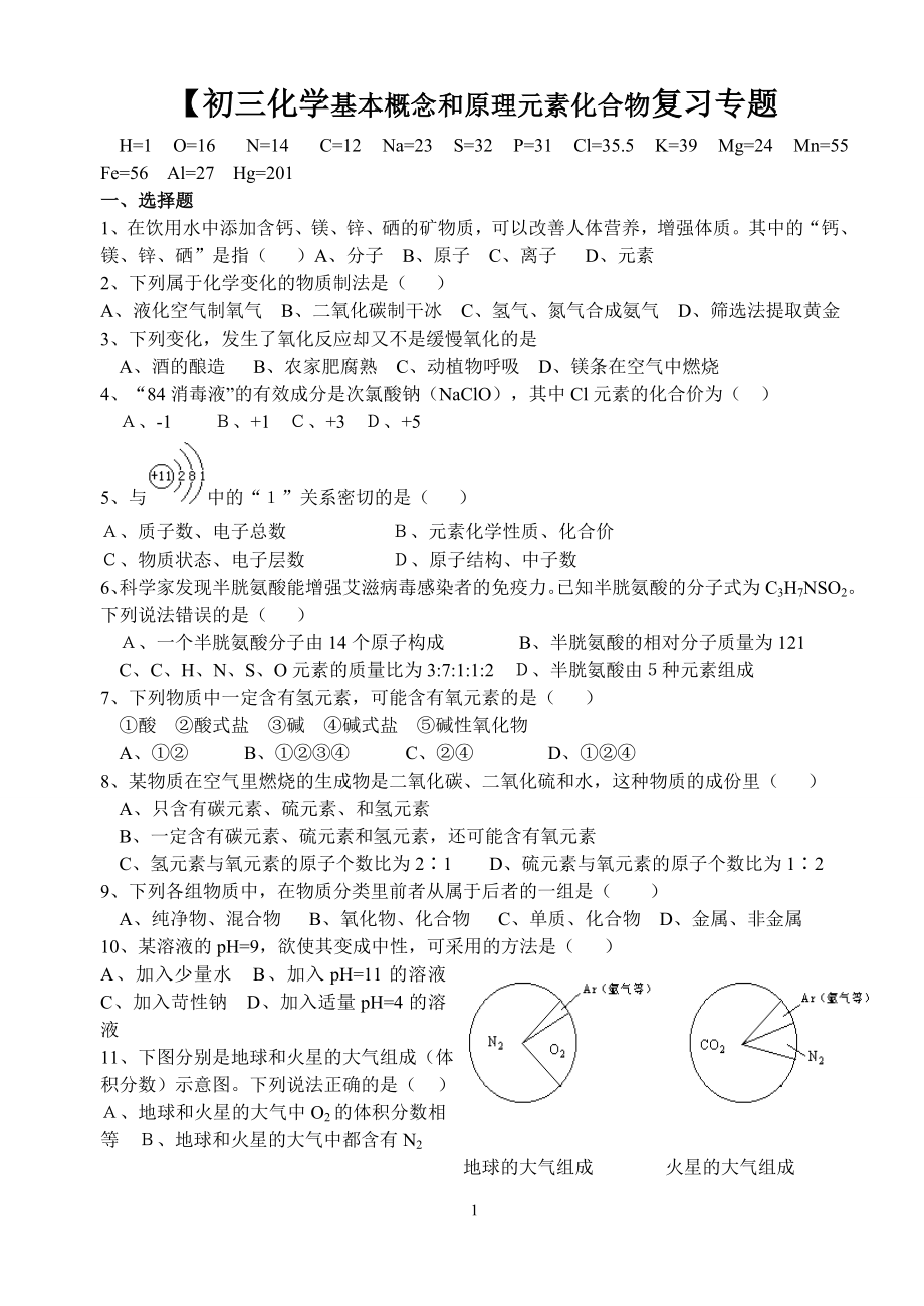 初三化学元素化合物复习专题.doc_第1页