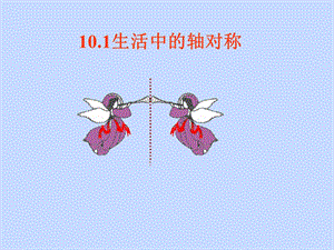 数学：101生活中的轴对称课件（华东师大版七年级下）.ppt