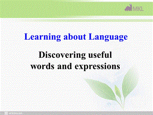 英语：Unit 4Learning efficientlyLearning about language课件 新人教选修10.ppt