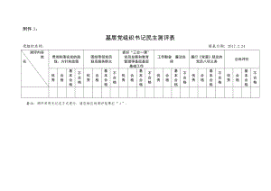 民主评议党员有关表格.doc