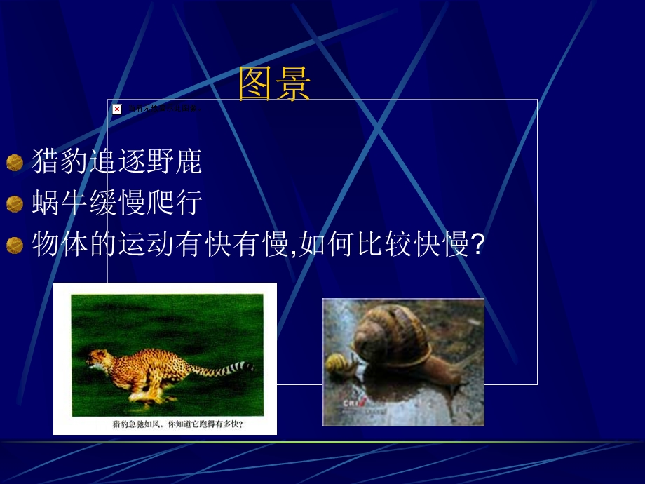 物体运动的快慢.ppt_第1页