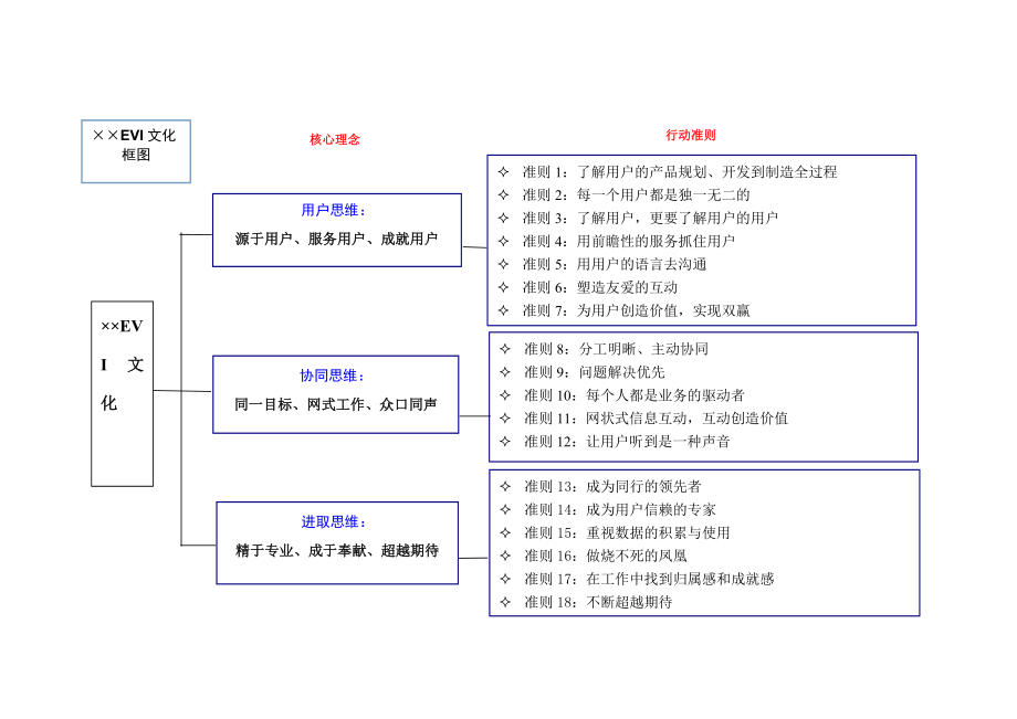 EVI文化调研总结报告.doc_第1页