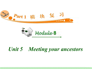 高中英语复习PPT课件：M8Unit5　Meetingyourancestors.ppt