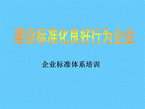 企业标准体系培训.ppt