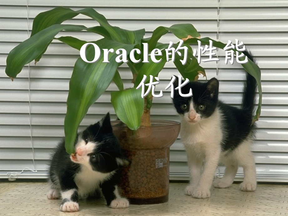 Oracle的性能优化.ppt_第1页