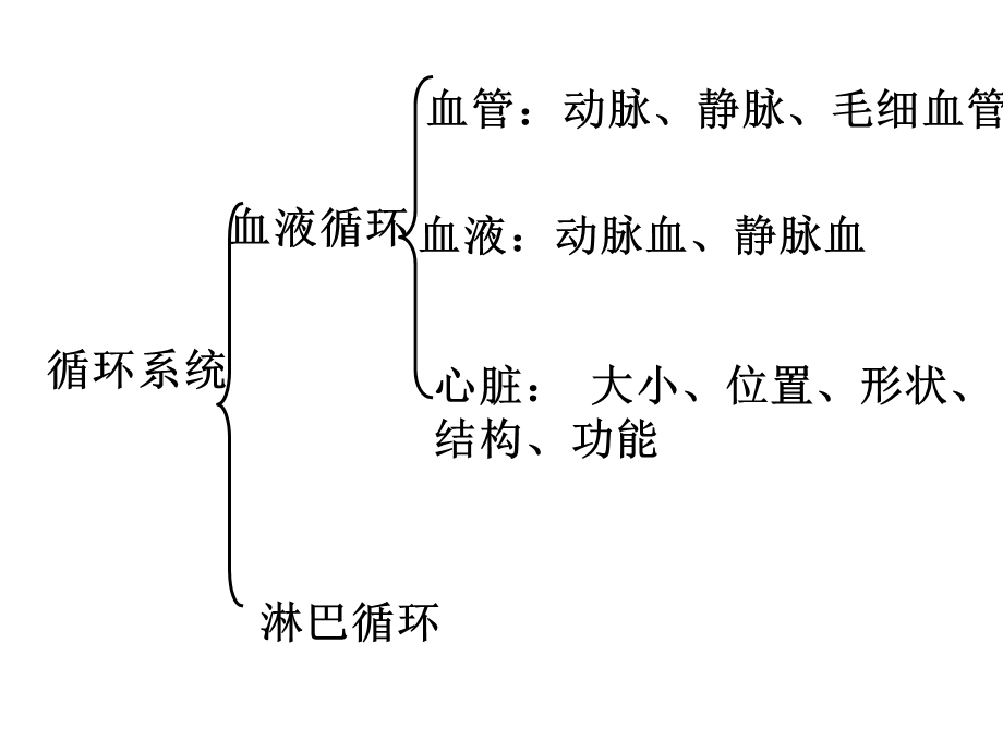 血液循环与新陈代谢.ppt_第2页