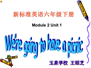 新标准英语六年级下册we'regoingtohaveapicnic.ppt