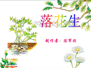 四年级语文下册《7、落花生》第二课时课件.ppt