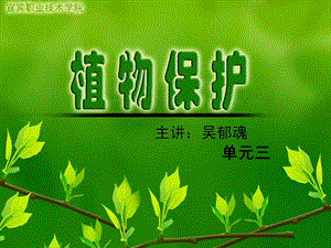 植物保护.ppt