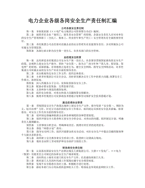 电力企业各级各岗安全生产责任制汇编.doc