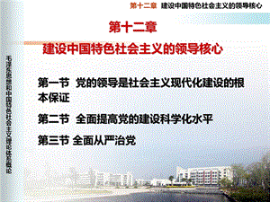 建设中国特色社会主义的领导核心.ppt