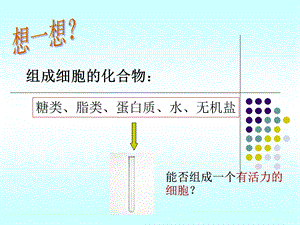 细胞膜——系统的边界1.ppt