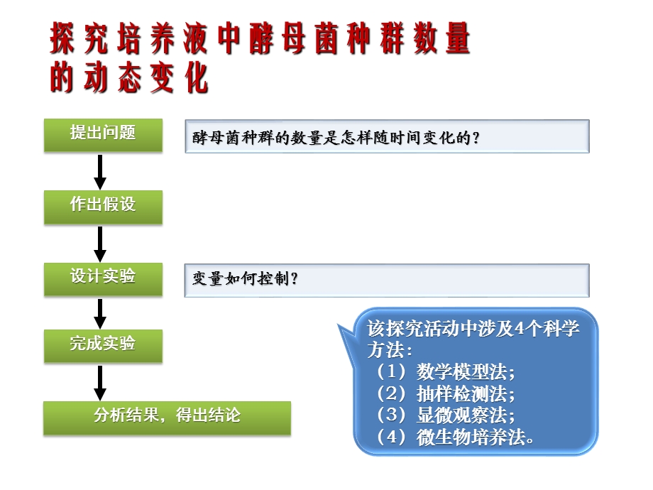 探究培养液中酵母菌种群数量的动态变化.ppt_第1页