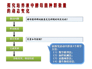 探究培养液中酵母菌种群数量的动态变化.ppt