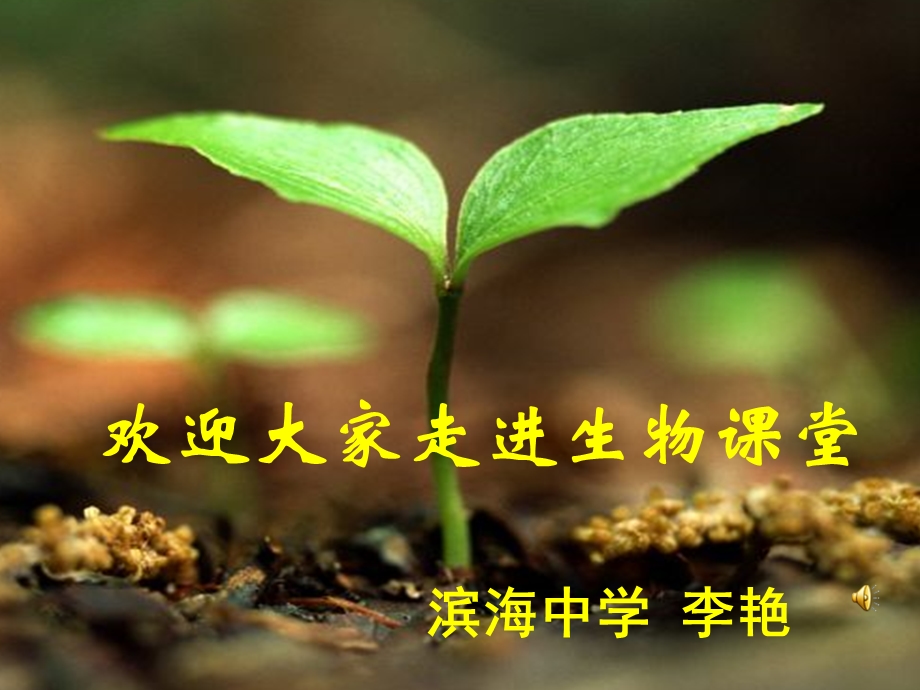 生长素的发现.ppt_第1页