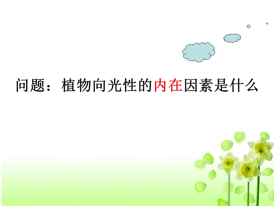 生长素的发现.ppt_第3页