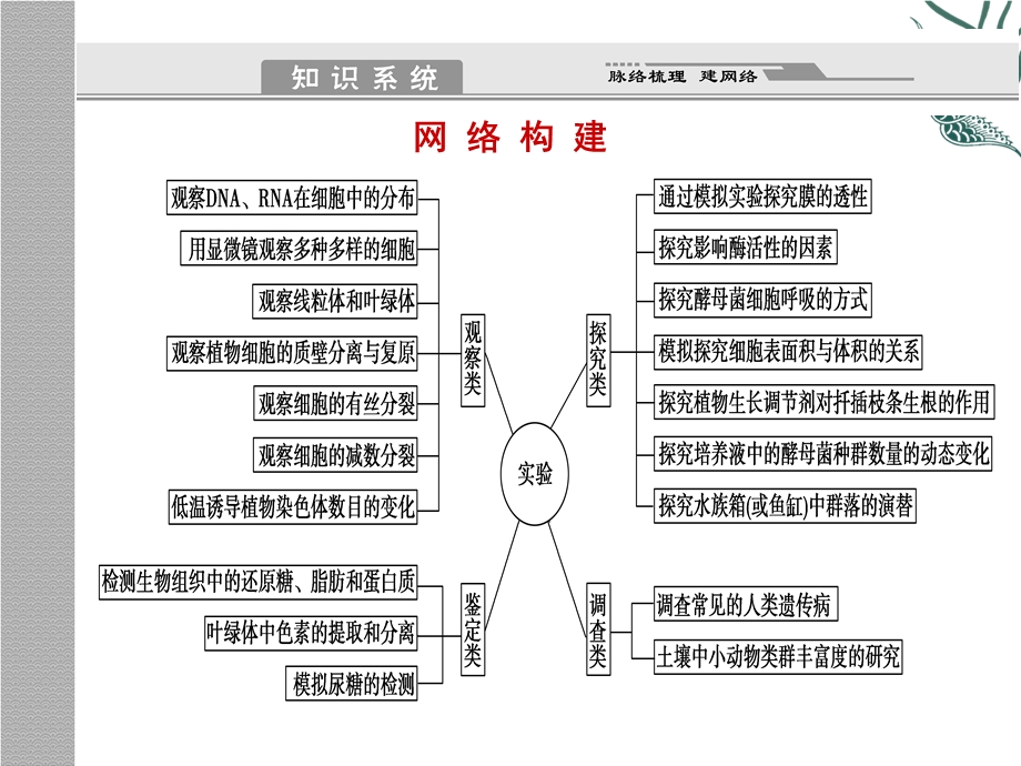 实验与探究专题复习.ppt_第2页