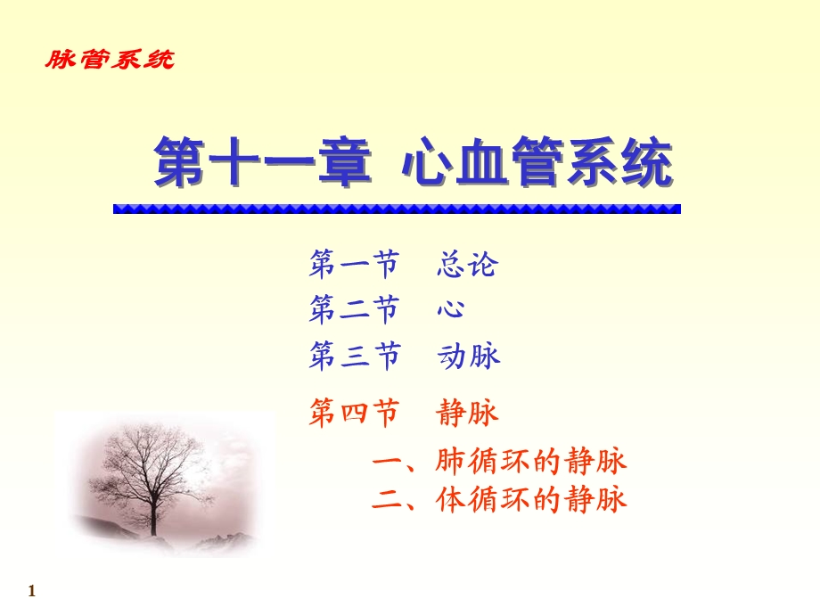 心脑血管静脉.ppt_第1页