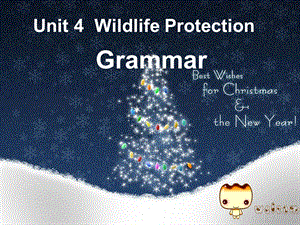 高中英语：Unit 4Wildlife Protection现在进行时被动语态.ppt