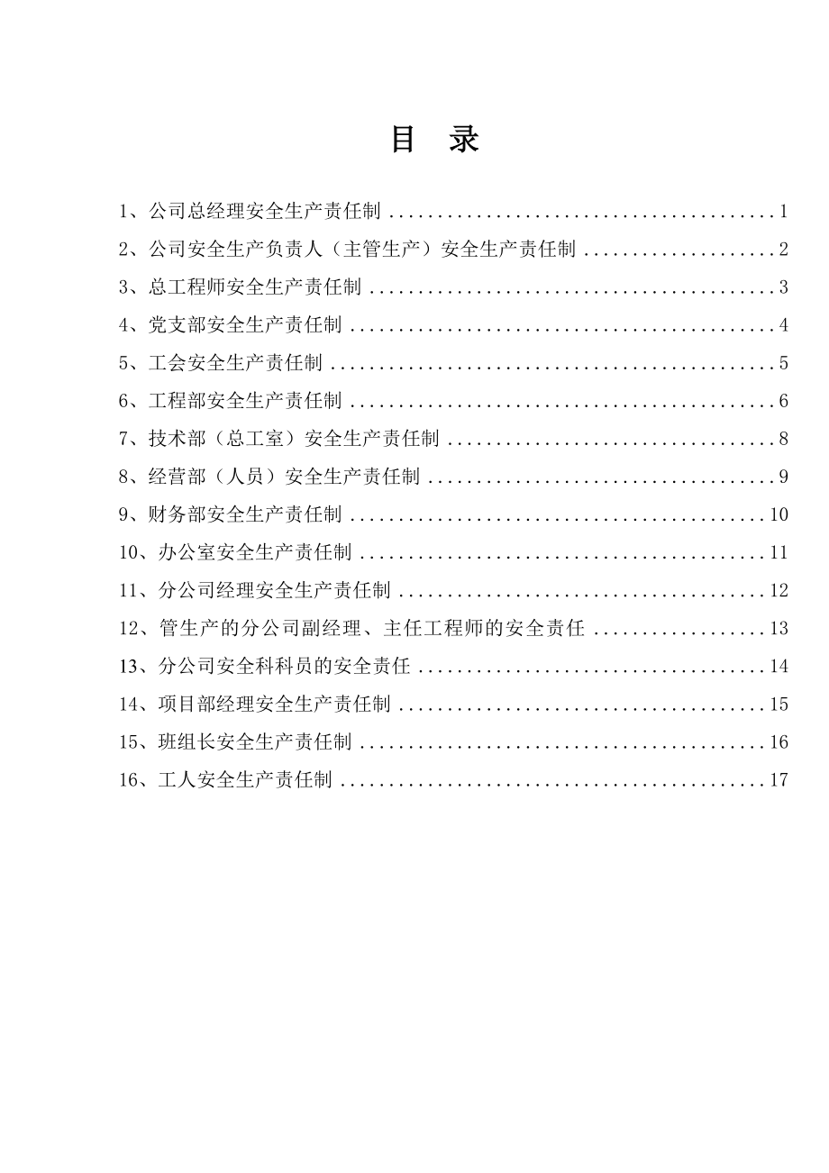 企业主要人员及主要职能部门安全生产责任制 .doc_第1页