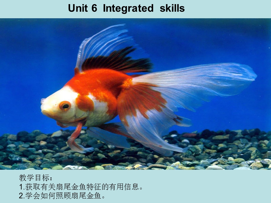 牛津英语7B U6 Integrated skills .ppt_第1页