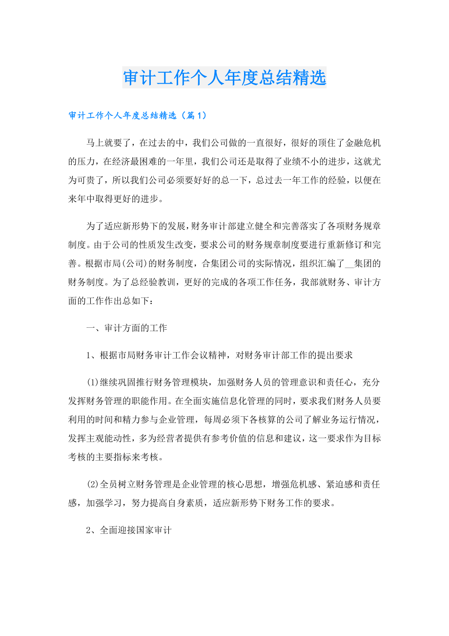 审计工作个人总结精选.doc_第1页