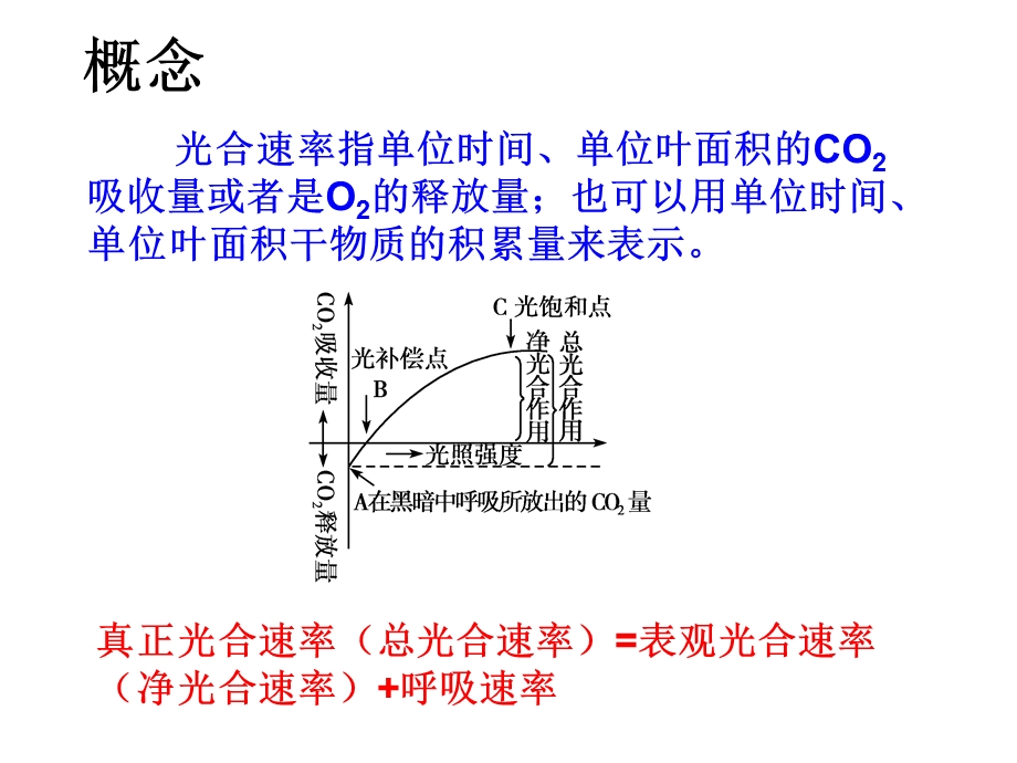 光合速率测定方法.ppt_第2页