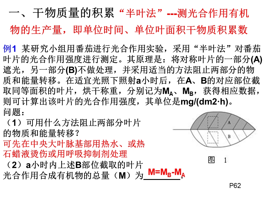 光合速率测定方法.ppt_第3页