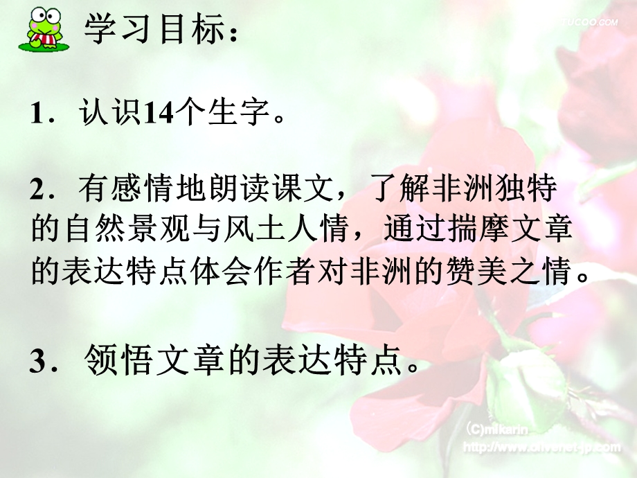 彩色的非洲课件 (3).ppt_第2页