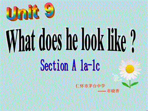 Unit9第1课时SectionAWhatdoeshelooklike.ppt