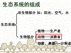 人教版八年级上册第三章第一节动物在自然界中的作用（共26张PPT）.ppt