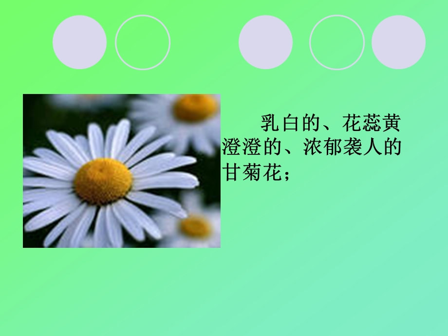 六年级下册《牛蒡花》课件.ppt_第3页