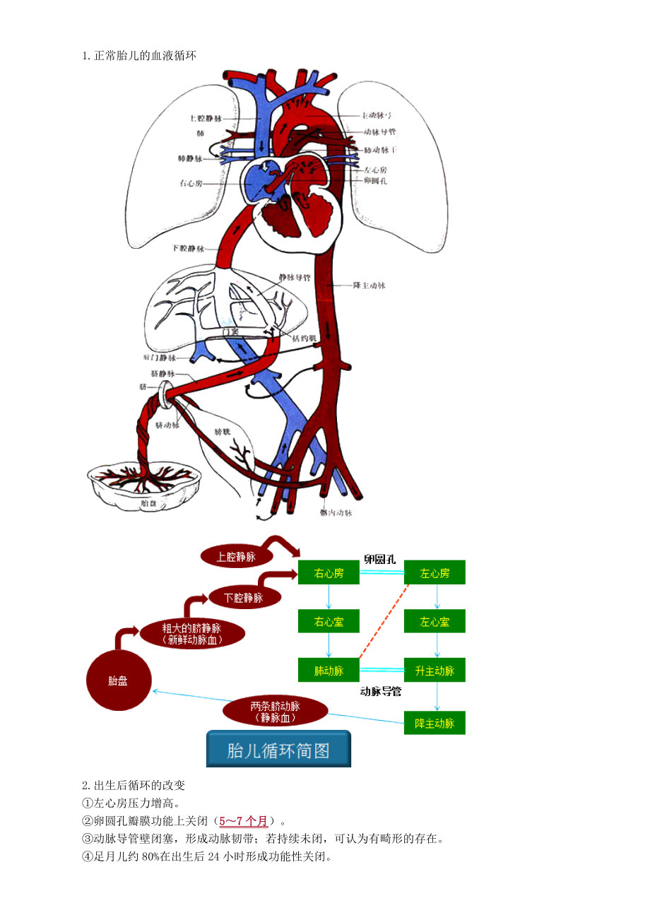 初级护师考试辅导-第10章-循环系统疾病患儿的护理(讲义).doc_第2页