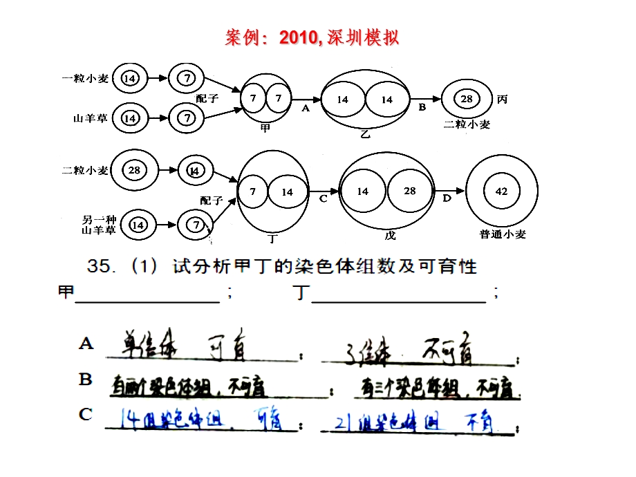 关于核心概念的教学.ppt_第2页